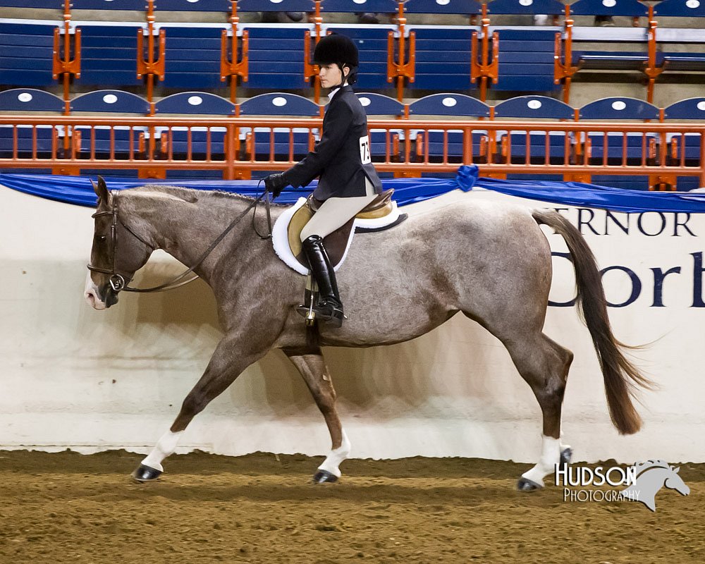 4H-Sate-102613-0883.jpg