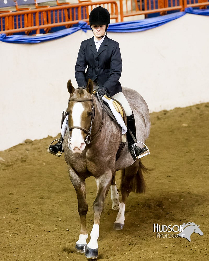 4H-Sate-102613-0886.jpg