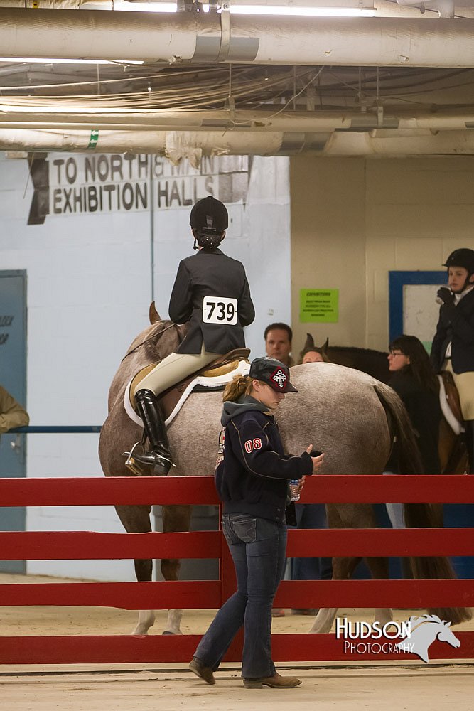 4H-Sate-102613-0889.jpg