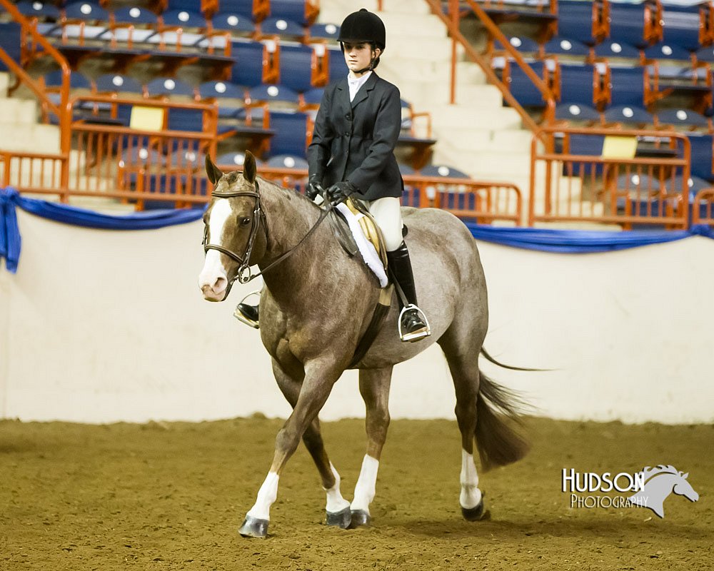 4H-Sate-102613-0892.jpg