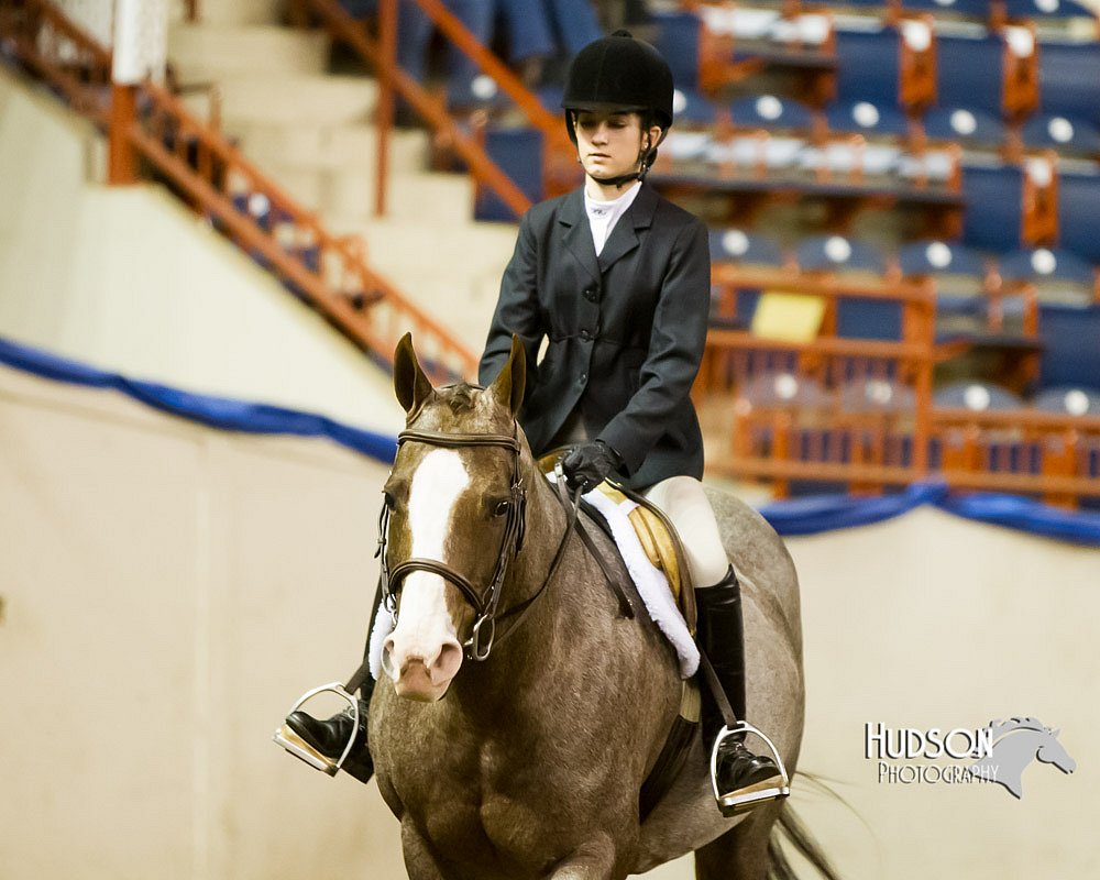 4H-Sate-102613-0893.jpg