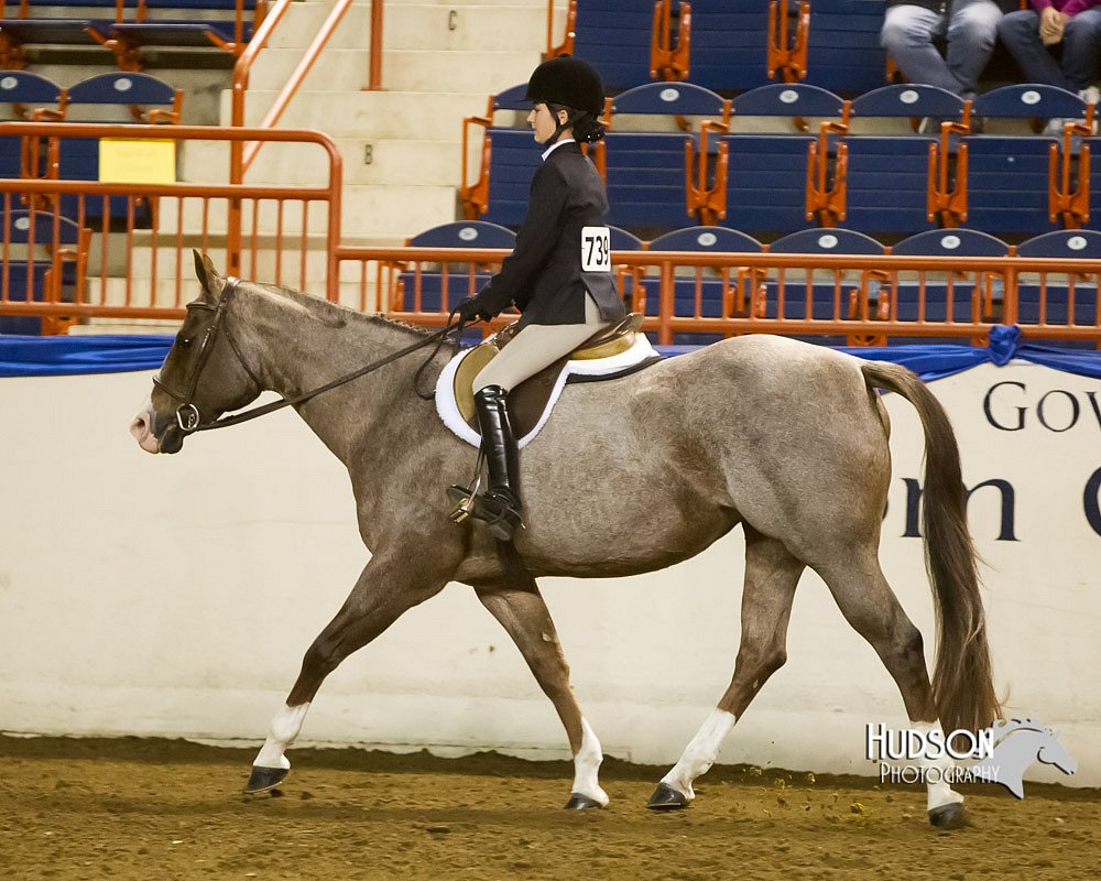 4H-Sate-102613-0895.jpg