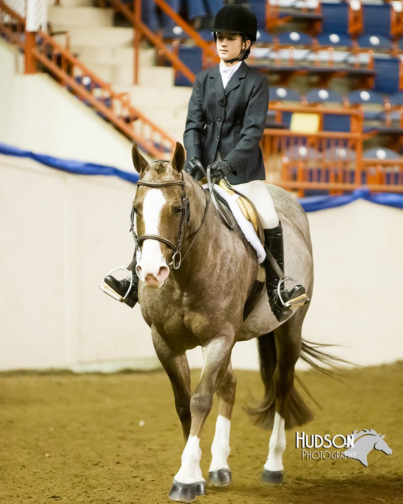 4H-Sate-102613-0896.jpg