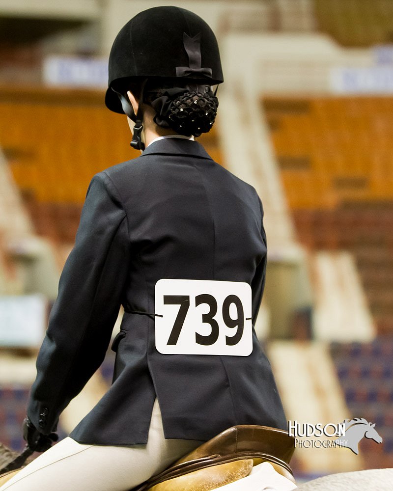 4H-Sate-102613-0898.jpg