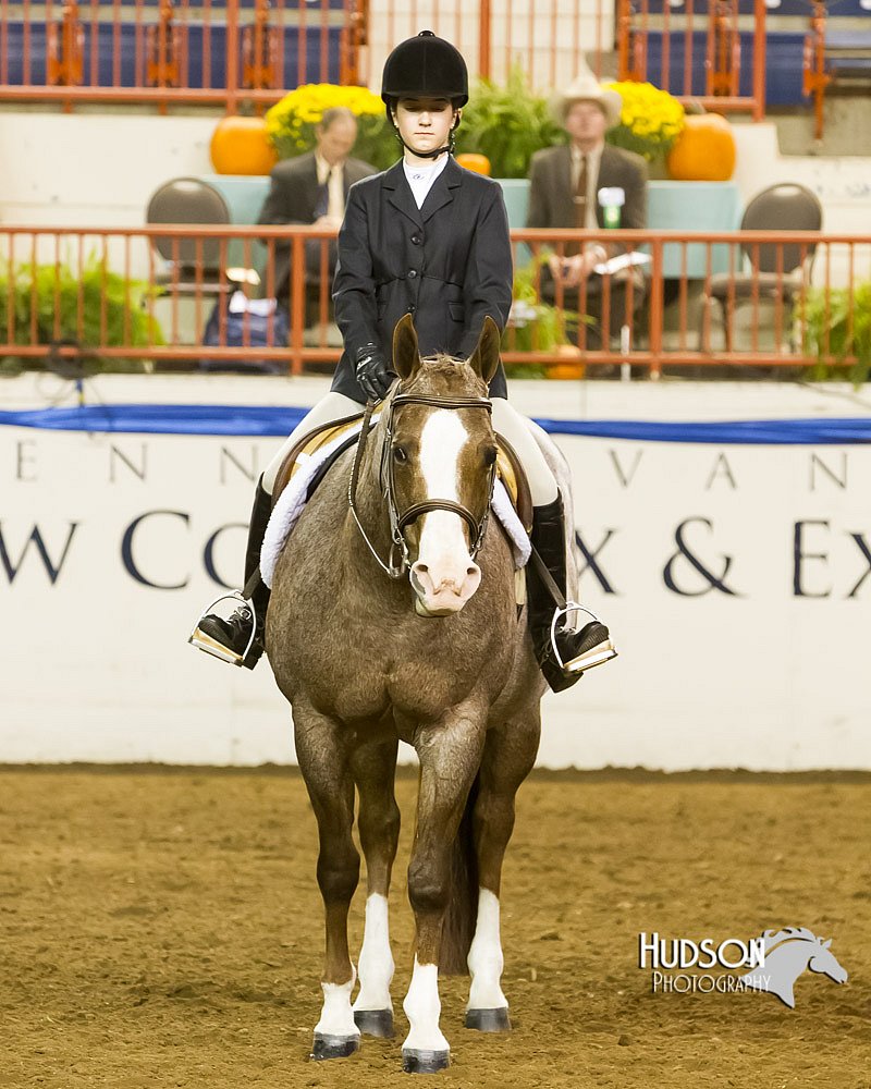 4H-Sate-102613-0900.jpg
