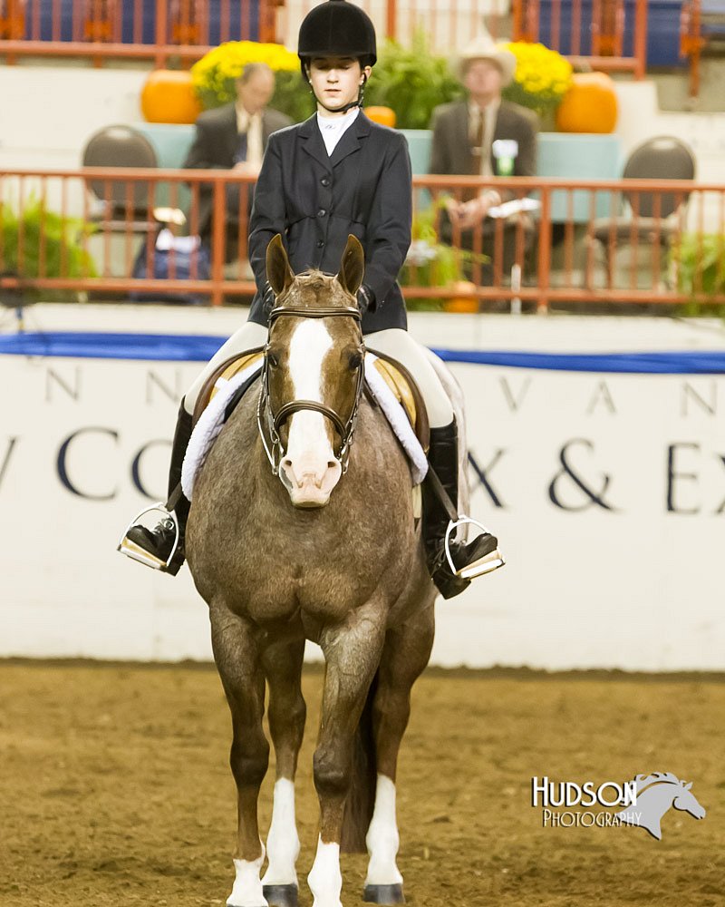 4H-Sate-102613-0901.jpg