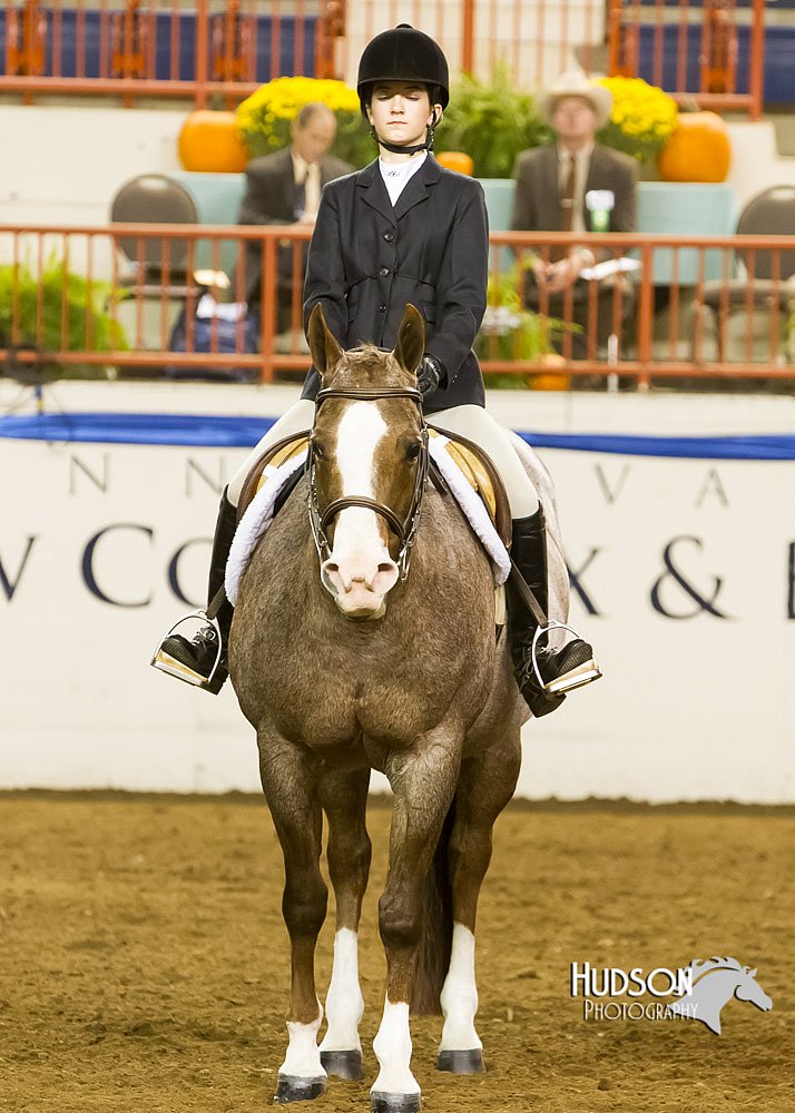 4H-Sate-102613-0902.jpg