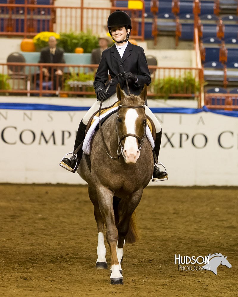 4H-Sate-102613-0917.jpg