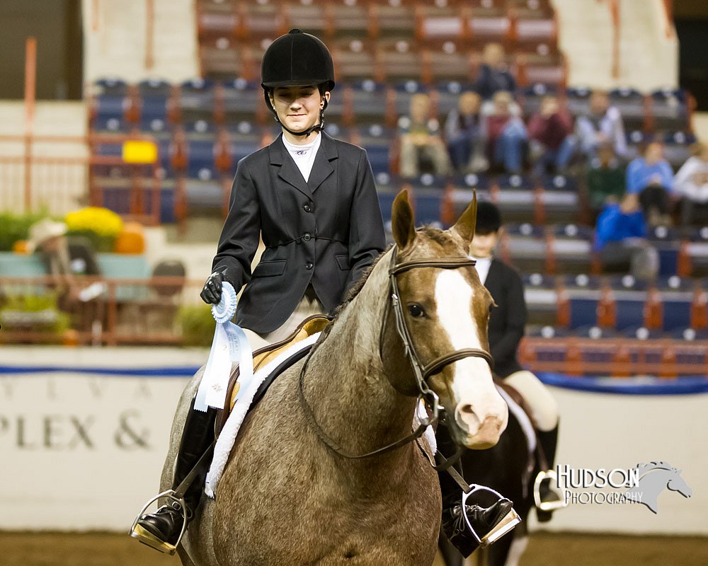 4H-Sate-102613-0920.jpg