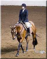 4H-Sate-102613-0835.jpg