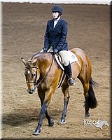 4H-Sate-102613-0836.jpg