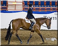 4H-Sate-102613-0837.jpg