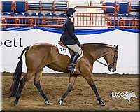 4H-Sate-102613-0838.jpg