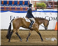 4H-Sate-102613-0839.jpg
