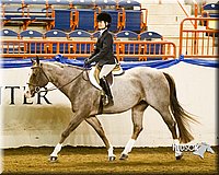4H-Sate-102613-0878.jpg