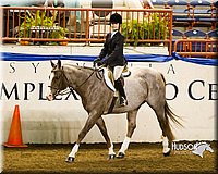 4H-Sate-102613-0879.jpg