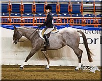 4H-Sate-102613-0883.jpg