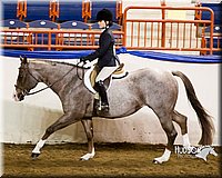 4H-Sate-102613-0884.jpg