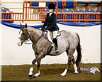 4H-Sate-102613-0885.jpg