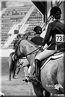 4H-Sate-102613-0890.jpg