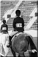 4H-Sate-102613-0891.jpg