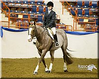 4H-Sate-102613-0892.jpg