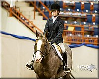 4H-Sate-102613-0893.jpg
