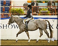 4H-Sate-102613-0894.jpg