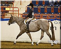 4H-Sate-102613-0895.jpg