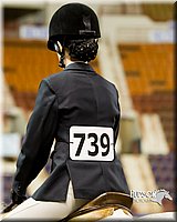 4H-Sate-102613-0898.jpg