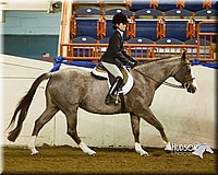 4H-Sate-102613-0899.jpg