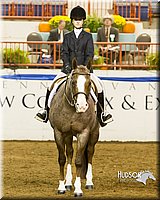 4H-Sate-102613-0900.jpg