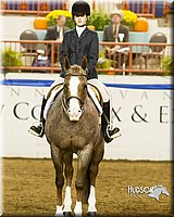 4H-Sate-102613-0901.jpg