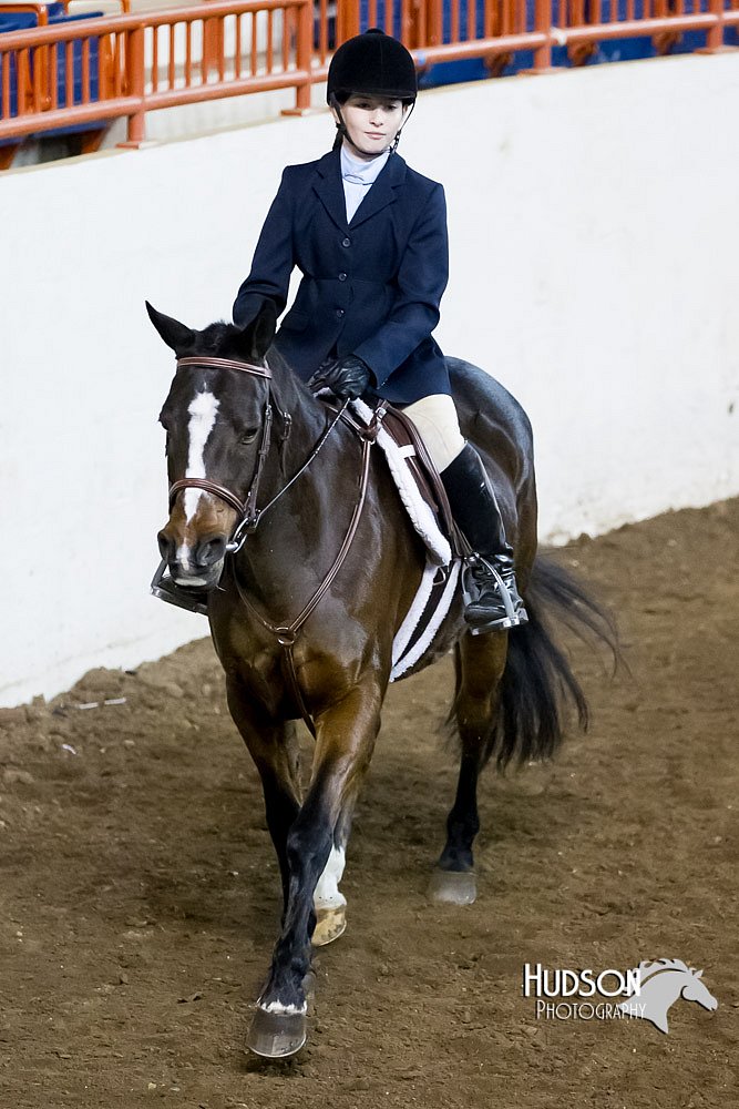 4H-Sate-102513-0201.jpg