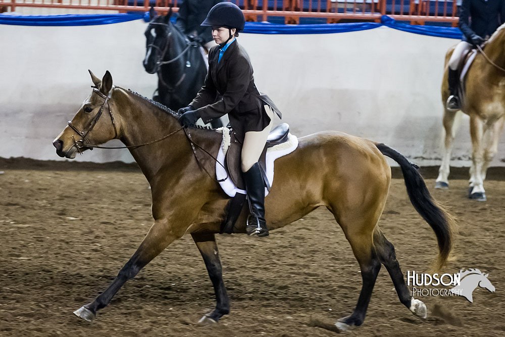 4H-Sate-102513-0215.jpg