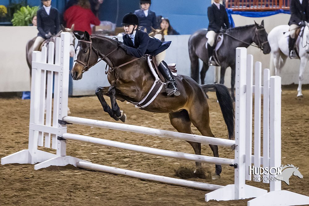 4H-Sate-102513-0220.jpg