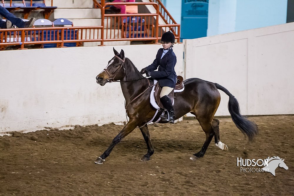 4H-Sate-102513-0222.jpg