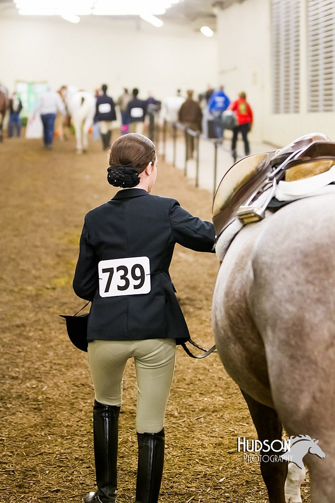 4H-Sate-102613-0926.jpg
