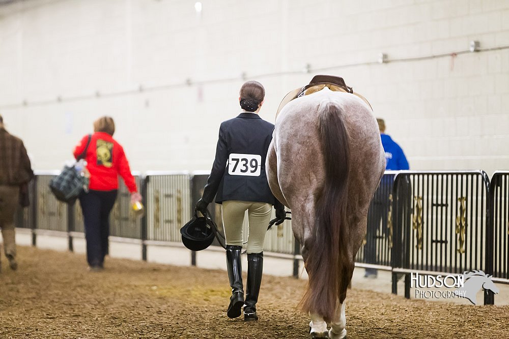 4H-Sate-102613-0934.jpg