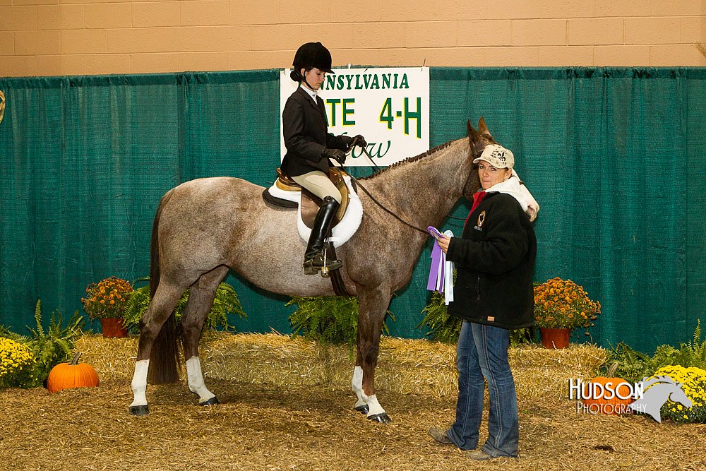 4H-Sate-102613-0937.jpg
