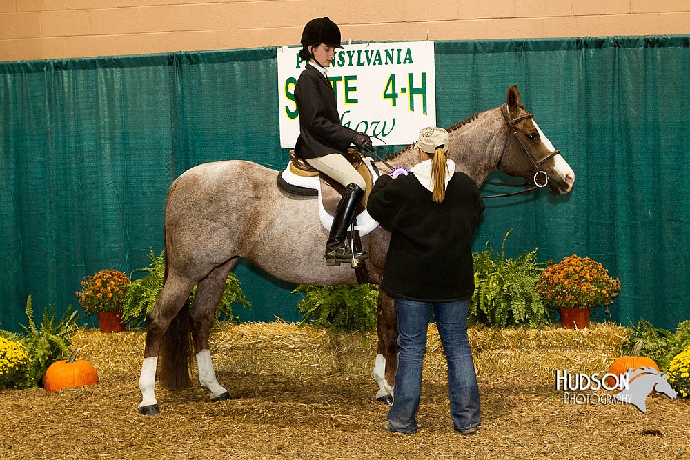 4H-Sate-102613-0938.jpg
