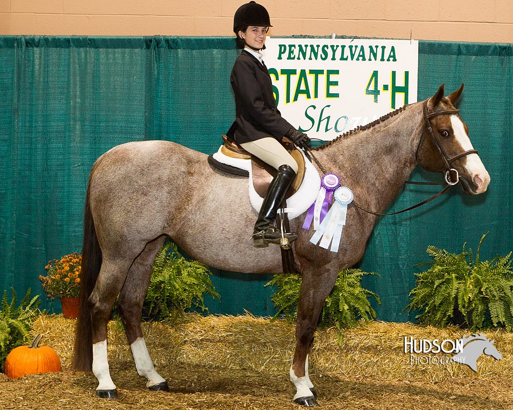 4H-Sate-102613-0939.jpg