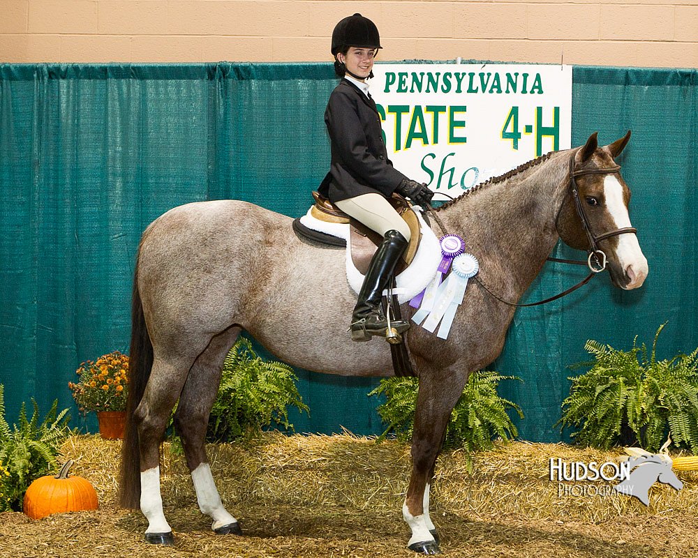4H-Sate-102613-0941.jpg