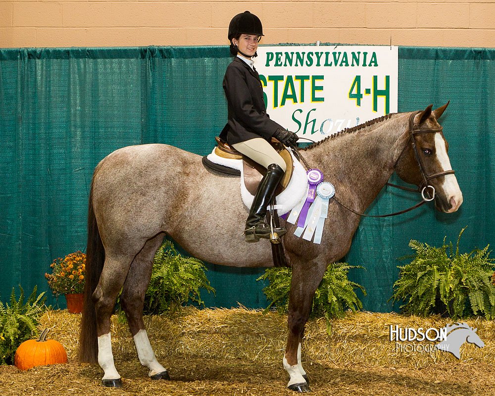 4H-Sate-102613-0942.jpg