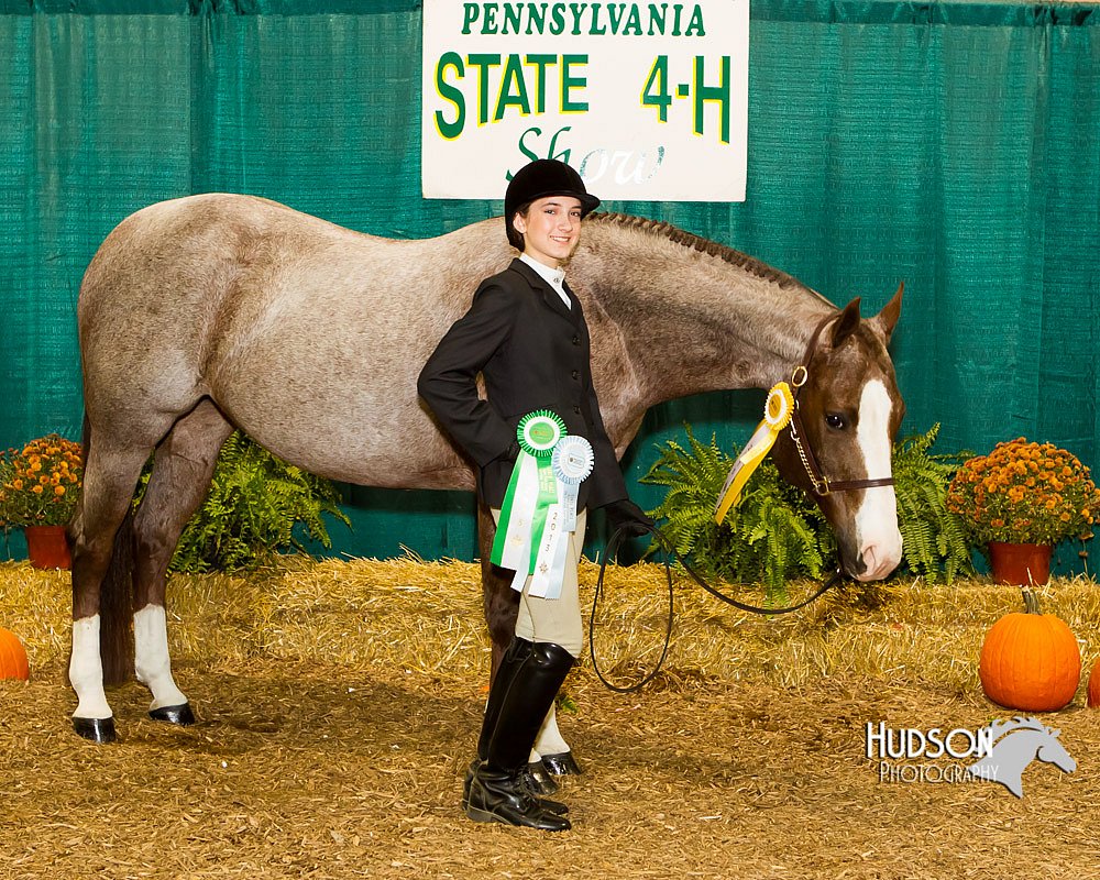 4H-Sate-102713-1112.jpg