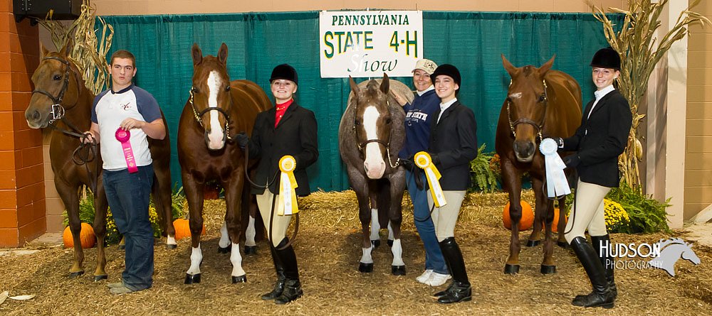 4H-Sate-102713-1120.jpg