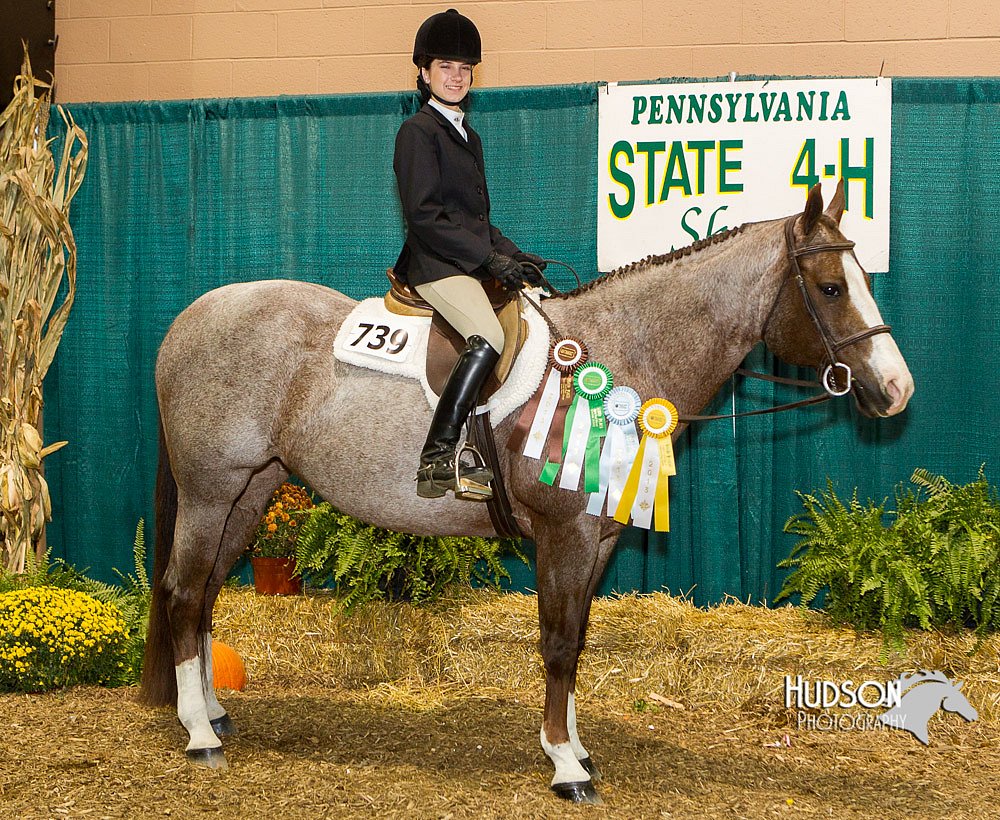 4H-Sate-102713-1321.jpg