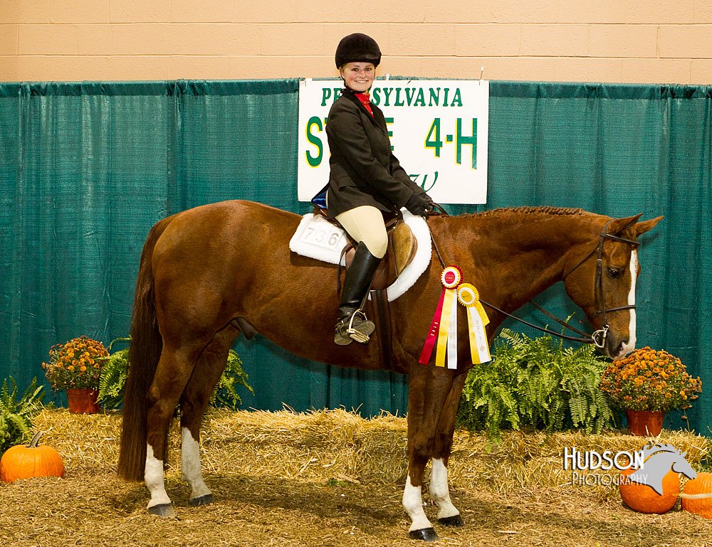 4H-Sate-102713-1323.jpg