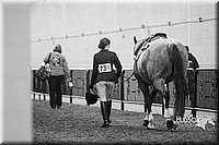 4H-Sate-102613-0936.jpg