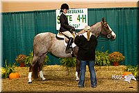 4H-Sate-102613-0938.jpg